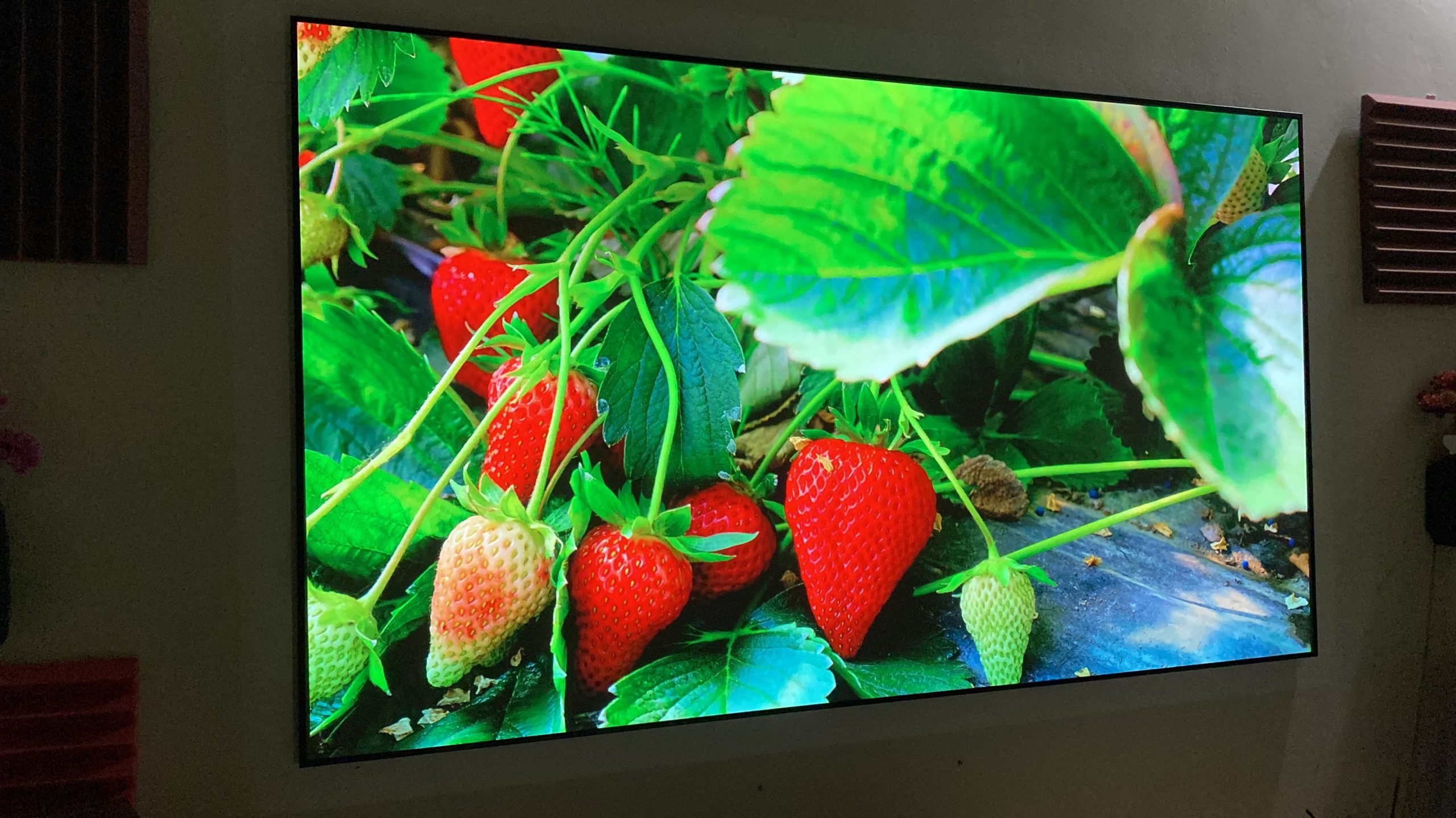 2022_06_02_07_15_IMG_2996 2022_06_02_07_15_IMG_2996