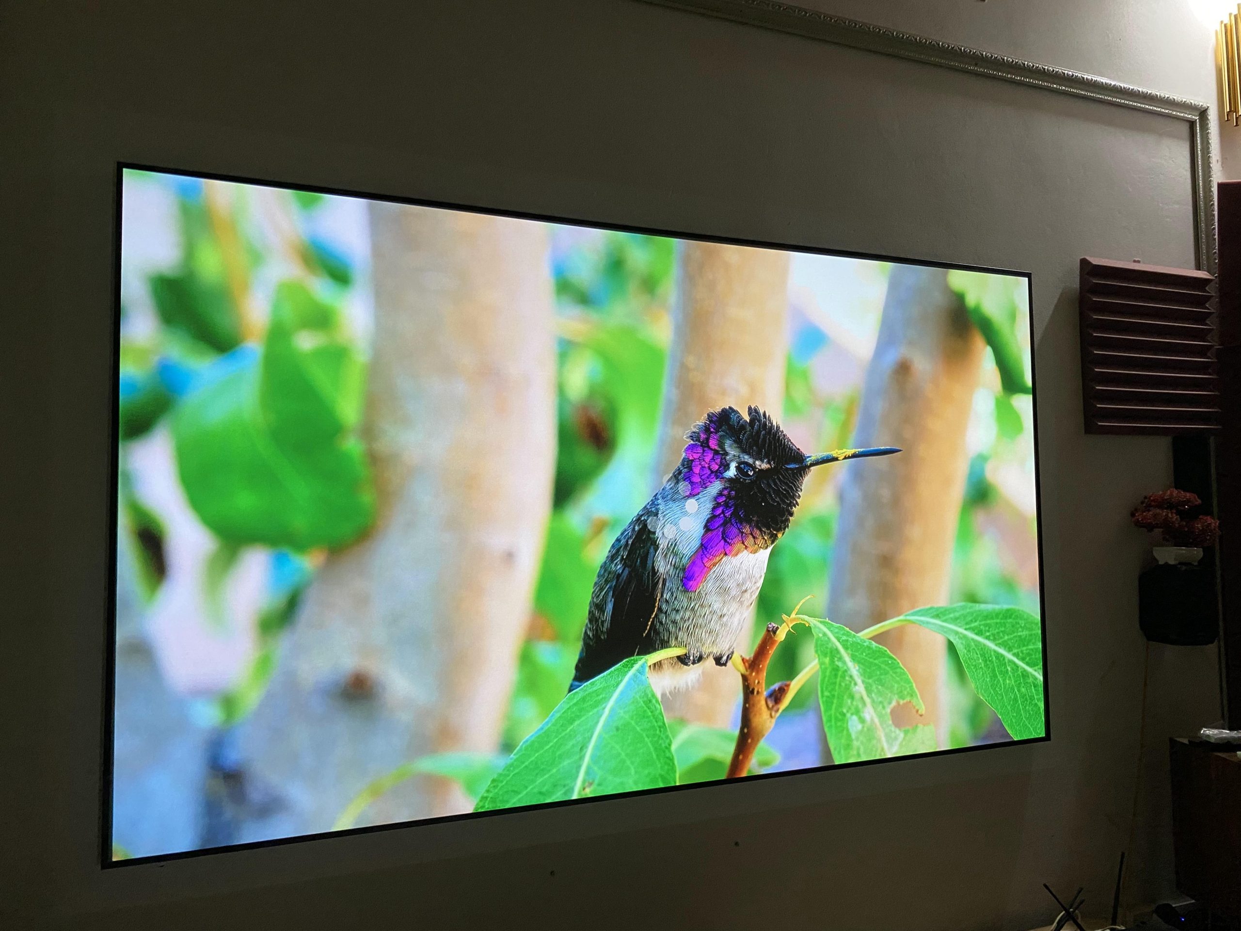 2022_06_02_07_16_IMG_2998 2022_06_02_07_16_IMG_2998